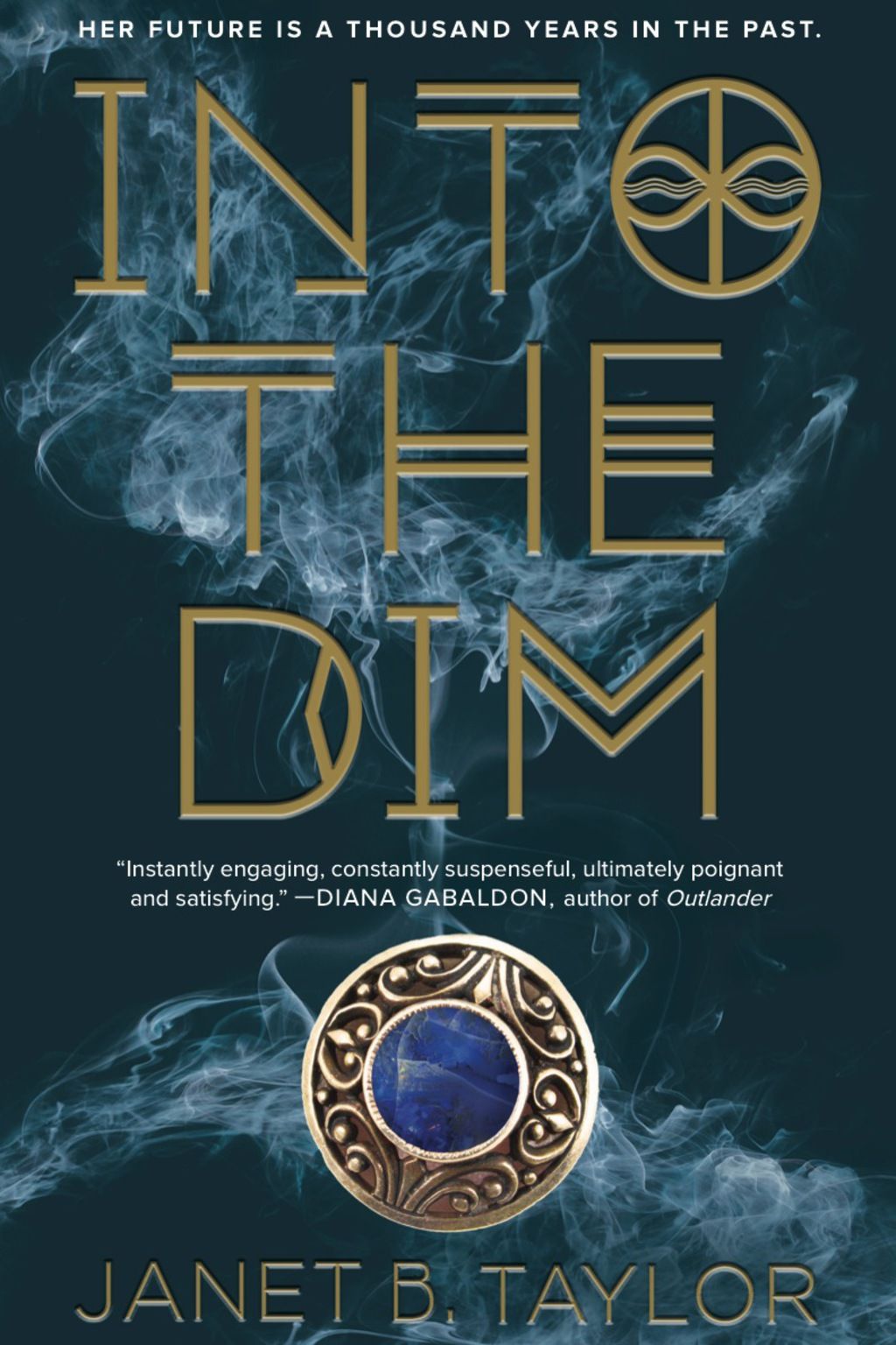 Into the Dim book cover
