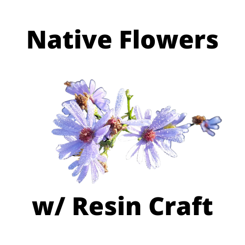 Native Flowers 