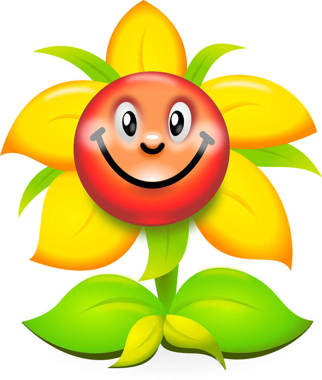 flower pixabay