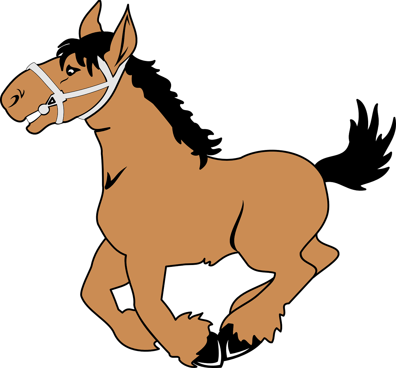horse pixabay