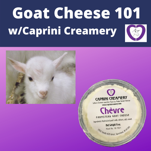 Goat cheese 101