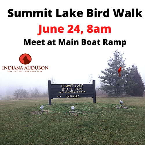 summit lake bird walk