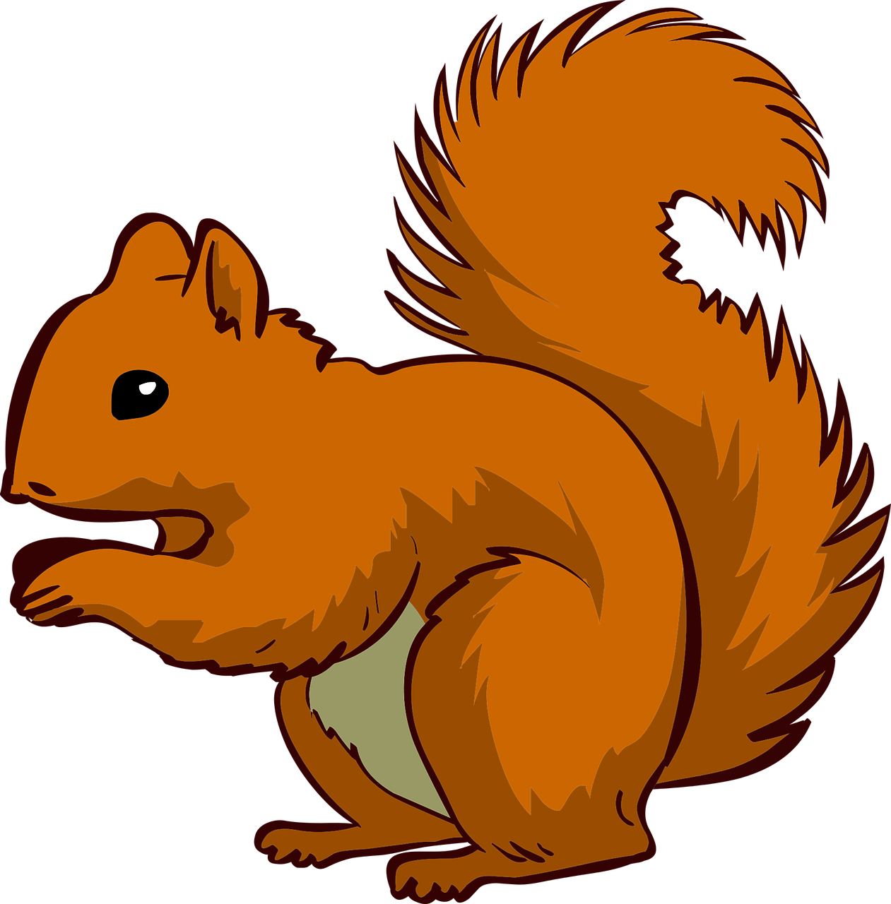 pixaby squirrel