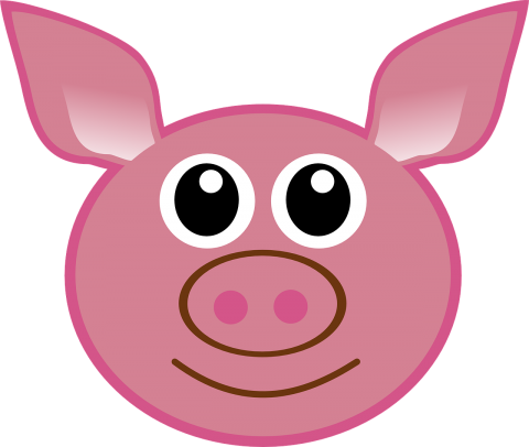 pig pixabay