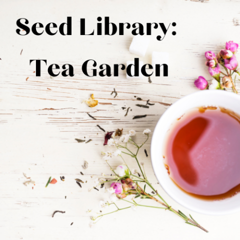 Seed Library Tea Garden