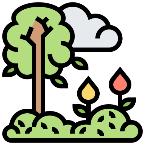 flaticon spring