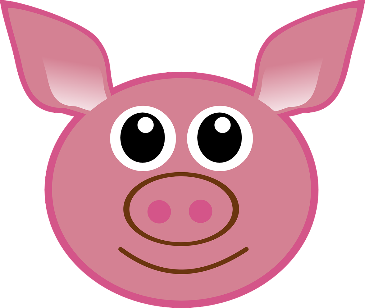 pig pixabay