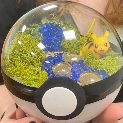 Pokemon Terrarium