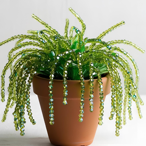 beaded plant