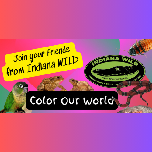 indiana wild